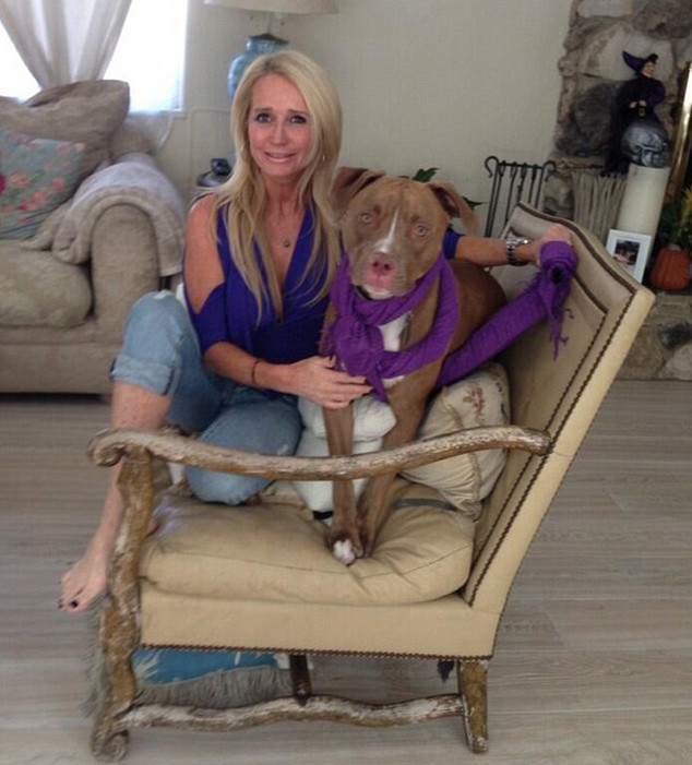 Kim Richards Slapped With New Lawsuit Alleging Pit Bull Attack and